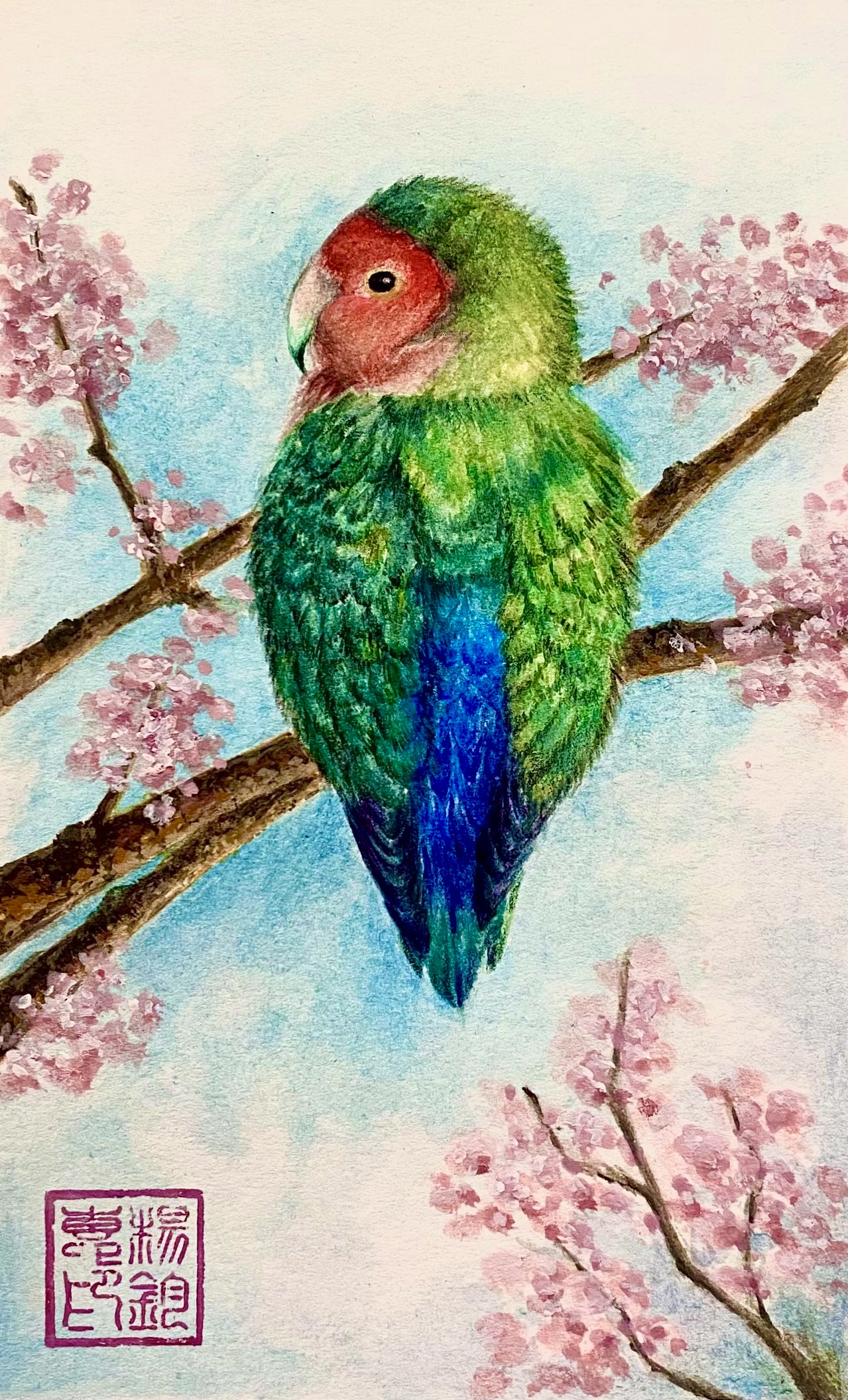 Rachael’s Lovebird