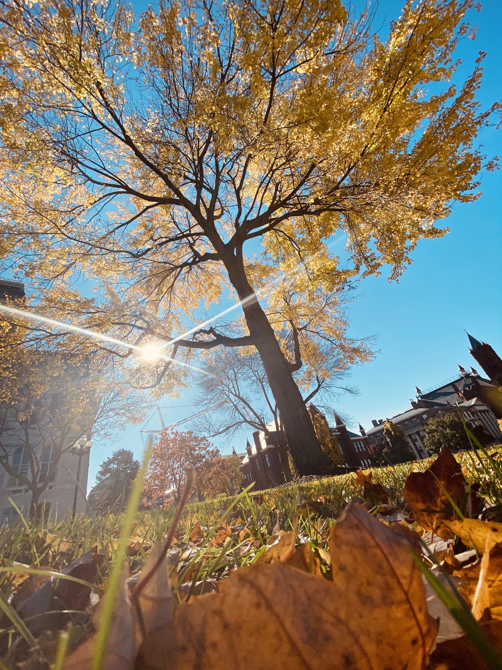 The Gift of Autumn