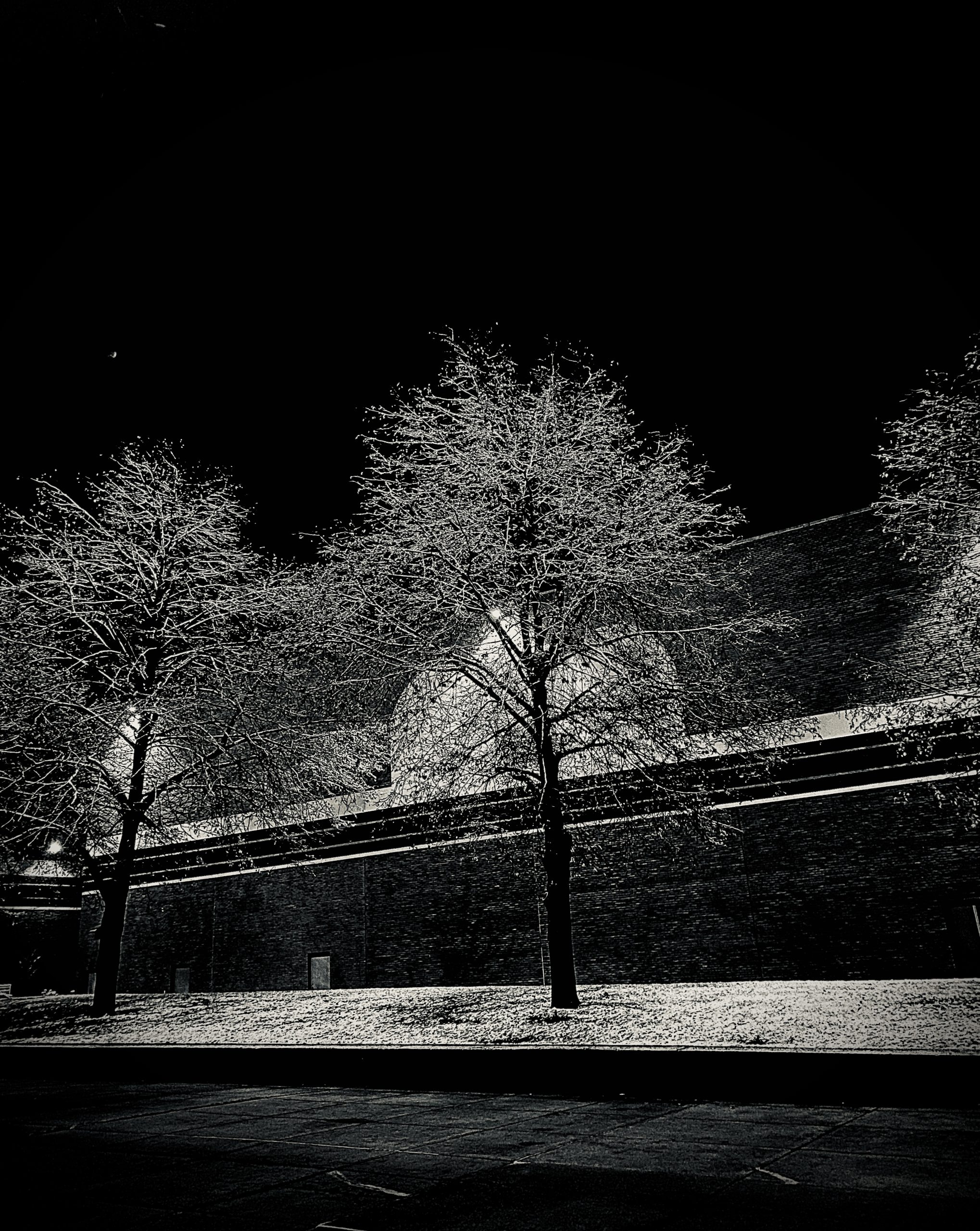 Late Night Snow